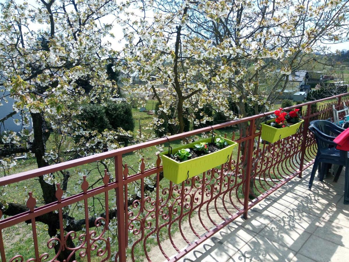 Homestay Strozowka Gorlice Esterno foto
